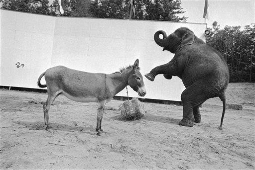 1, This is Tulsa State Fair week.